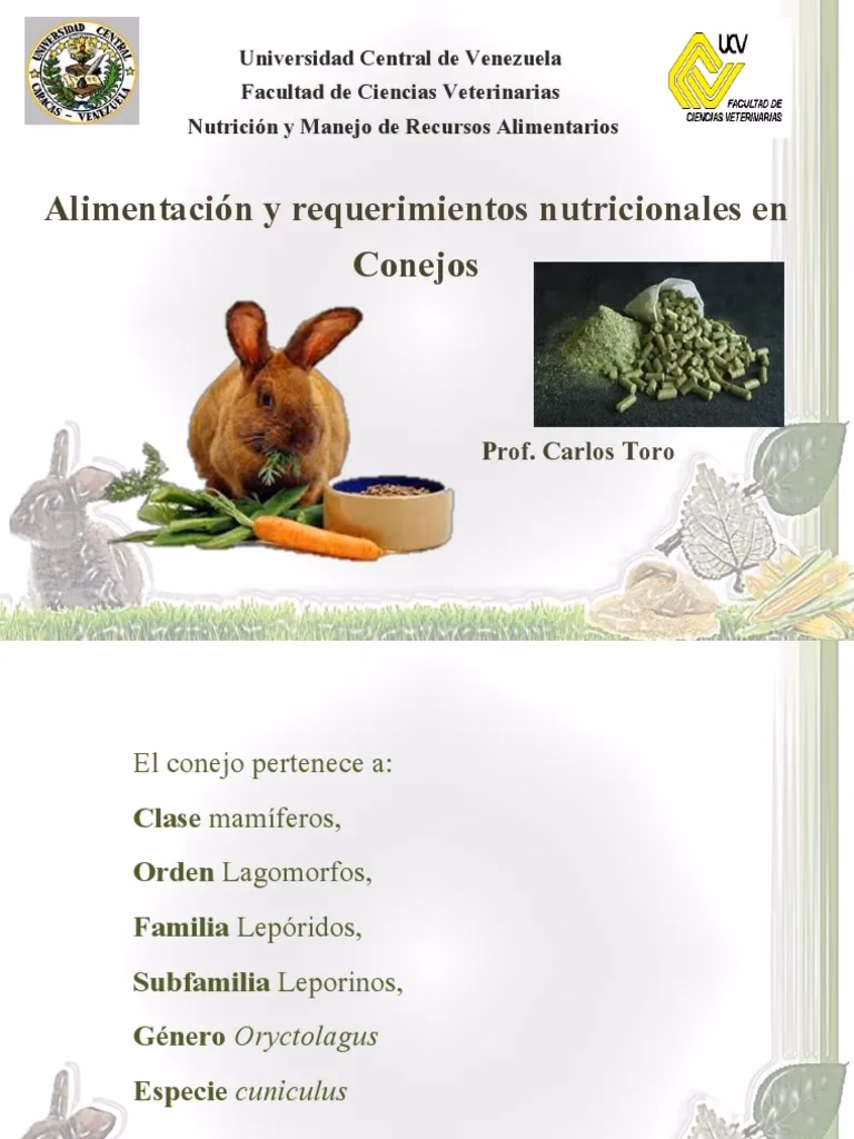 ¿Qué son los requerimientos nutricionales?
