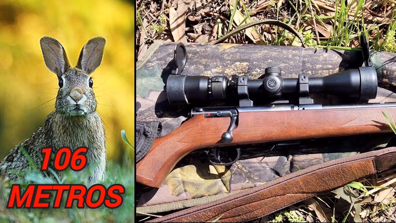 ¿Es legal la caza de conejos en Estados Unidos?