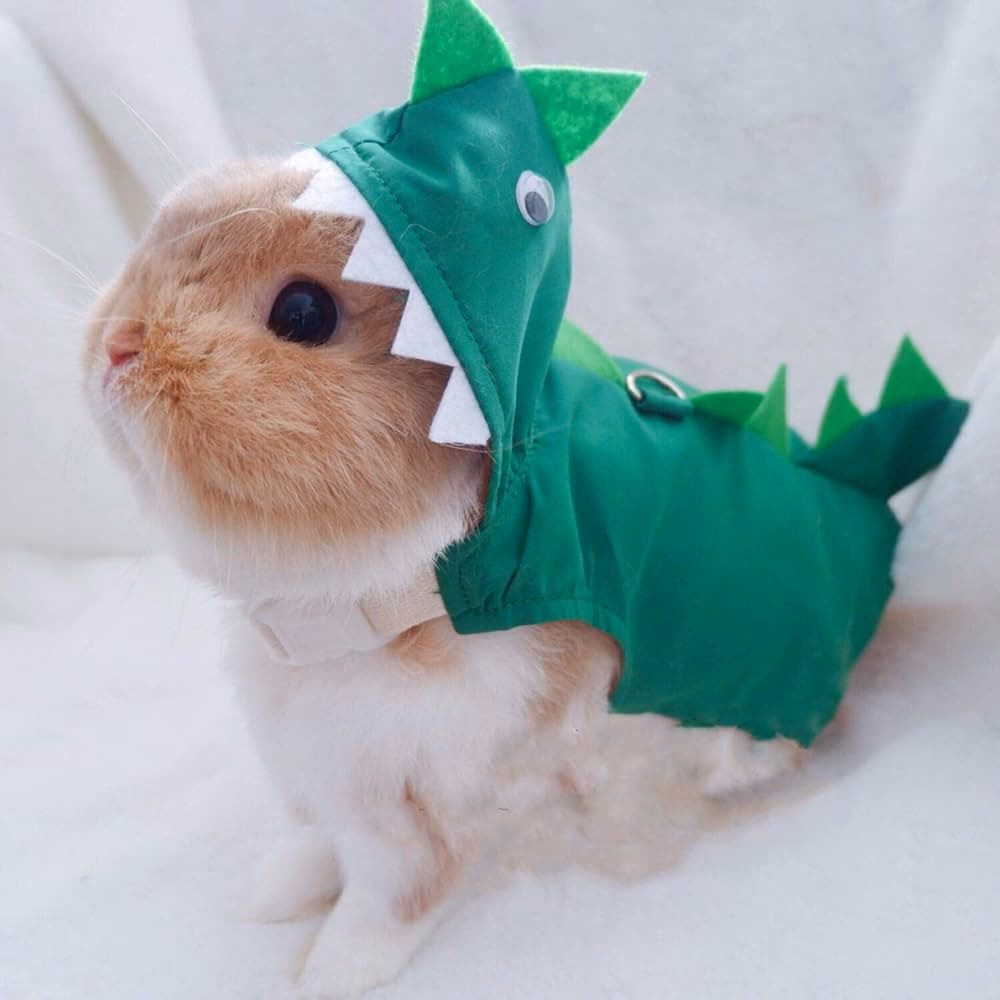 ¿Cómo abrigar a los conejos?