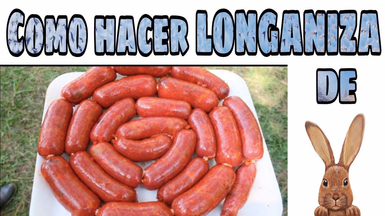 ¿De qué animal está hecha la salchicha?