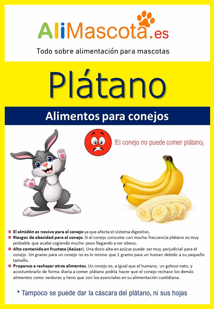 ¿Qué pasa si le doy banano a mi conejo?