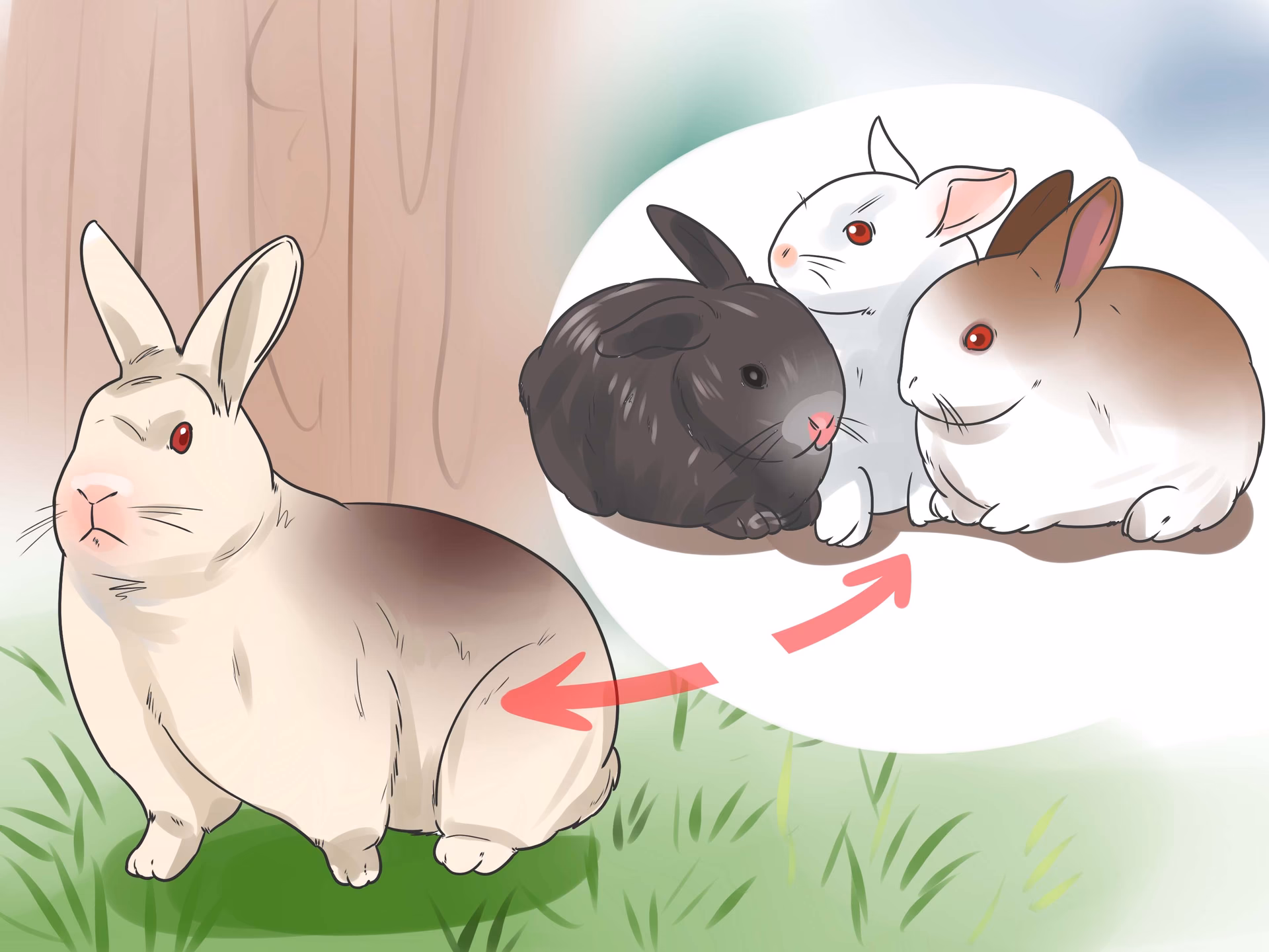 ¿Es posible cruzar un conejo macho con su hija?