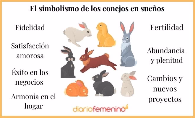 ¿Qué significa soñar con conejos bíblicamente?