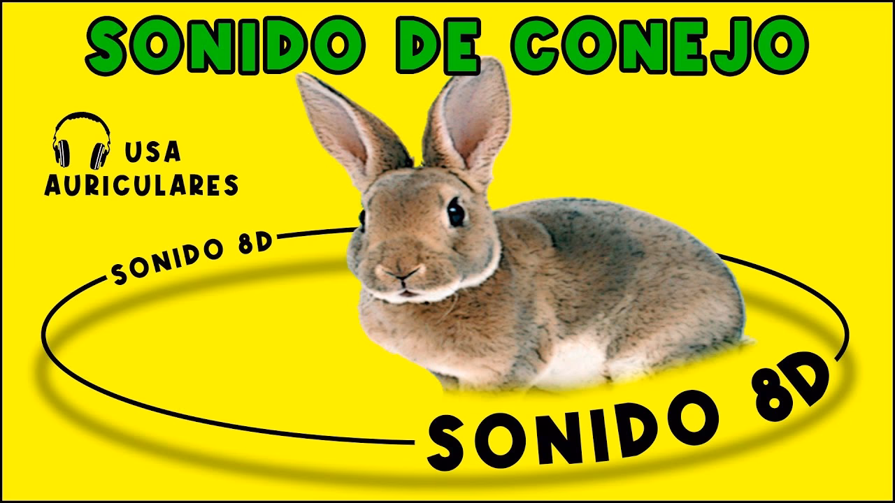 ¿Cuál es el sonido que hace el conejo?