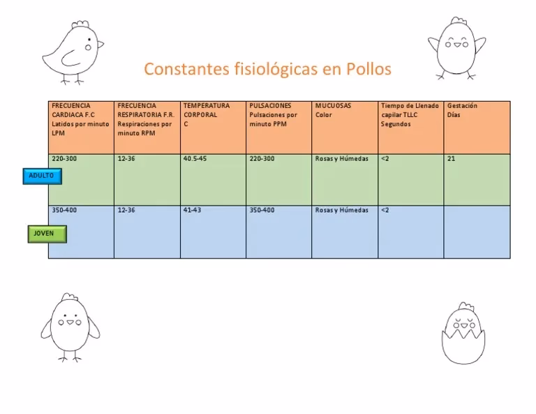 ¿Cuánto tiempo debe ser el llenado capilar?