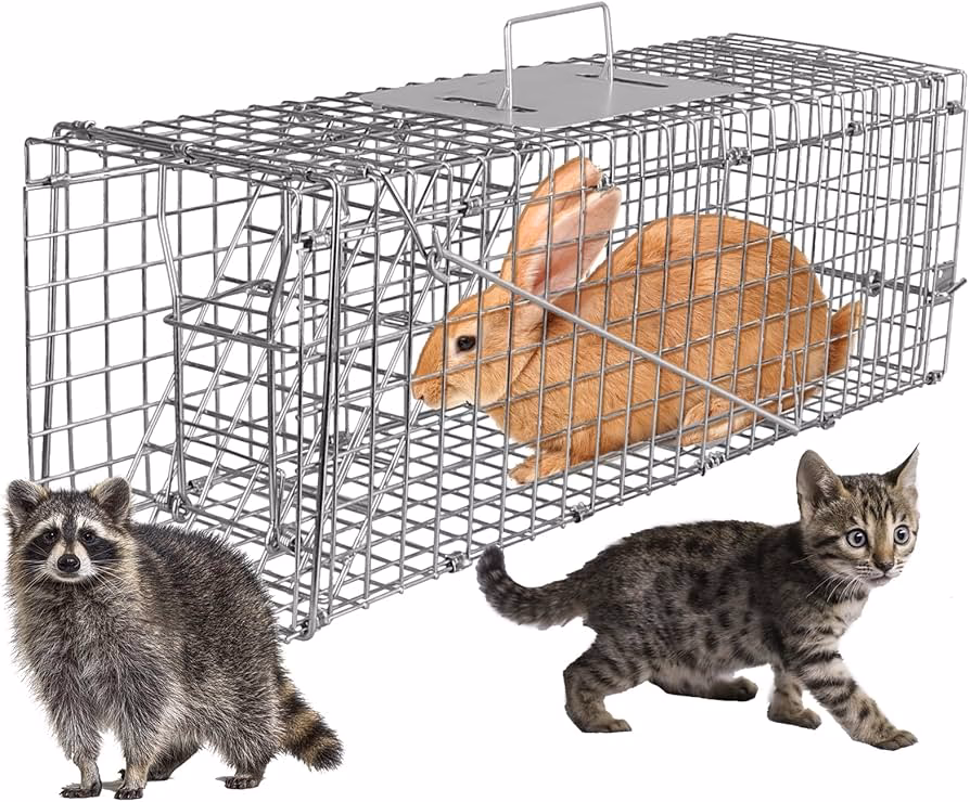 ¿Son efectivas las trampas para conejos?