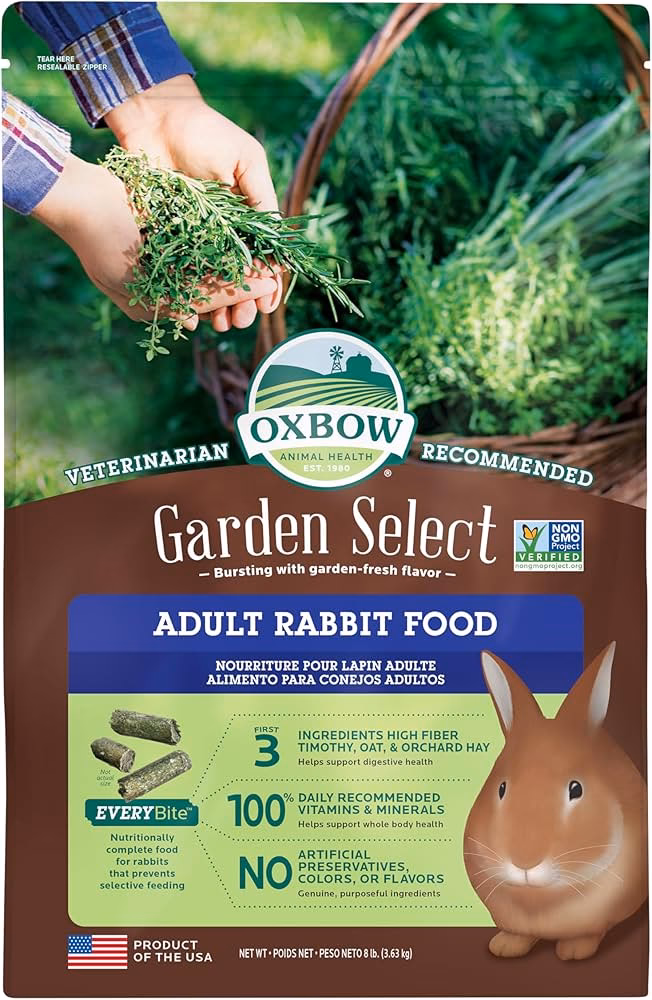 ¿Pueden los conejos comer pasto de trigo todos los días?