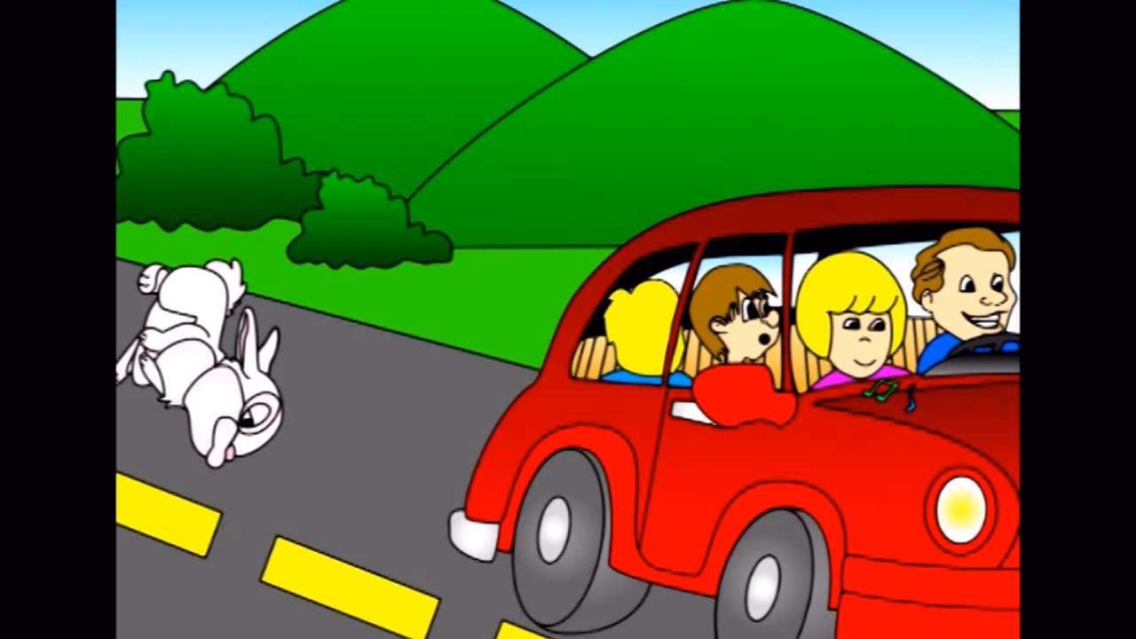 ¿Qué pasa si me encuentro un conejo en la calle?