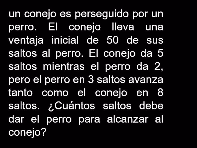 ¿Está bien que los perros persigan conejos?