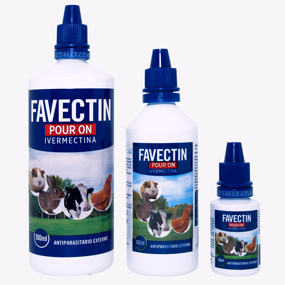 ¿Cómo tratar a los conejos contra las garrapatas?