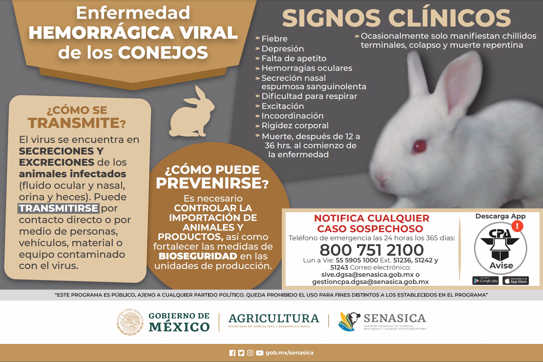 How serious is the Norwalk virus?