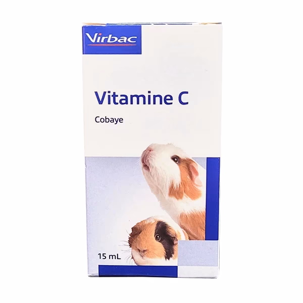 ¿Qué hace la vitamina C por los conejos?